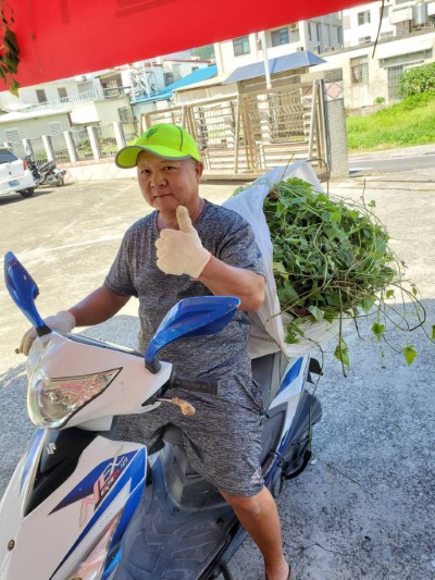 南華芋見愛 愛在蔓延清除小花蔓澤蘭活動，民眾參與踴躍。